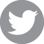 twitter icon